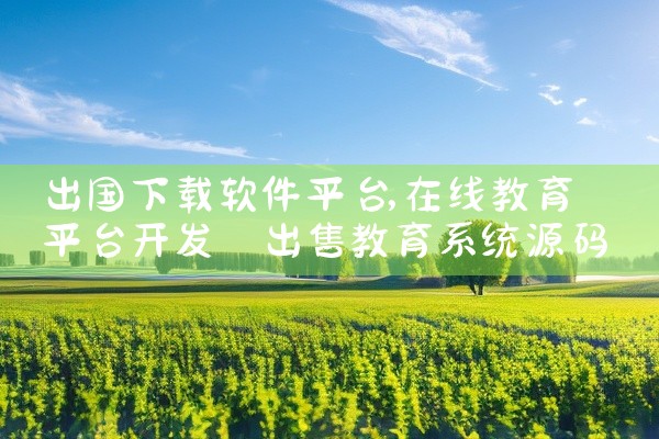 出国下载软件平台