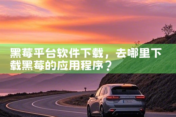 黑莓平台软件下载