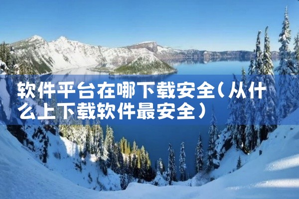 软件平台在哪下载安全
