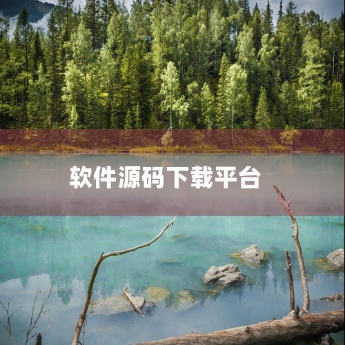 Gitee是国内最热门的代码托管仓库之一，同样提供了丰富的开源资源，特别适合寻找国内开发者共享的项目。码到源码则是一个全网最新免费源码软件模块素材下载分享平台，汇集了大量的免费源代码，对于需要快速获取,