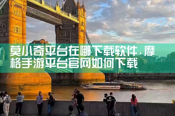 莫小奇平台在哪下载软件