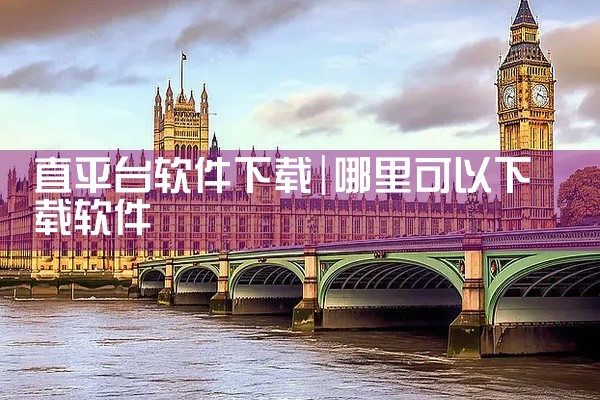 直平台软件下载