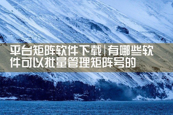平台矩阵软件下载