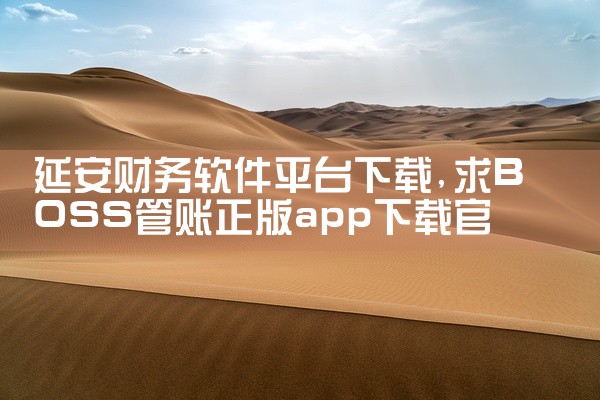 延安财务软件平台下载