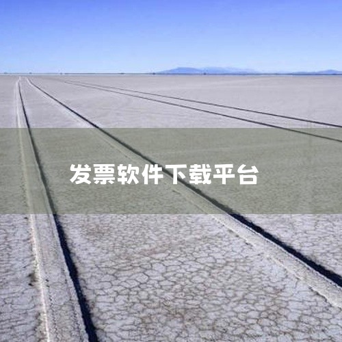 一、访问官方下载平台登录国家税务总局全国增值税发票查验平台，网址为https://inv-veri.chinatax.gov.cn。该平台是税务总局指定的软件下载及发票查验渠道，确保软件来源安全可靠，|